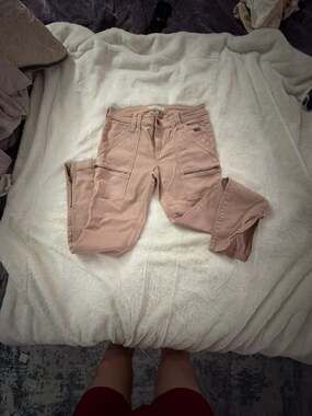 NWT Revolve x joie Park Skinny Pant in Pink Sky